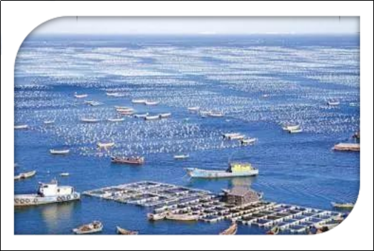 海洋油類治理